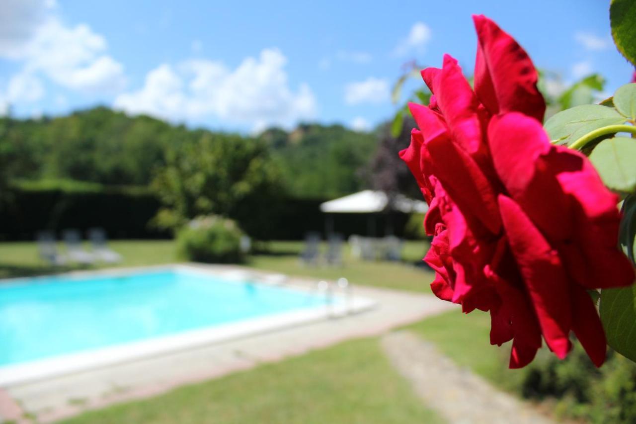 Bed and Breakfast Il Casolare Penna Екстер'єр фото