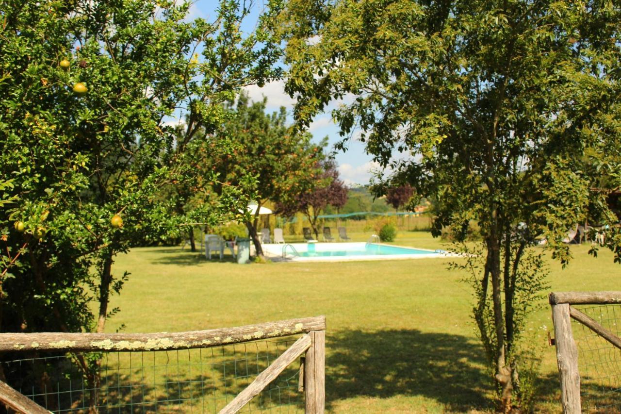 Bed and Breakfast Il Casolare Penna Екстер'єр фото