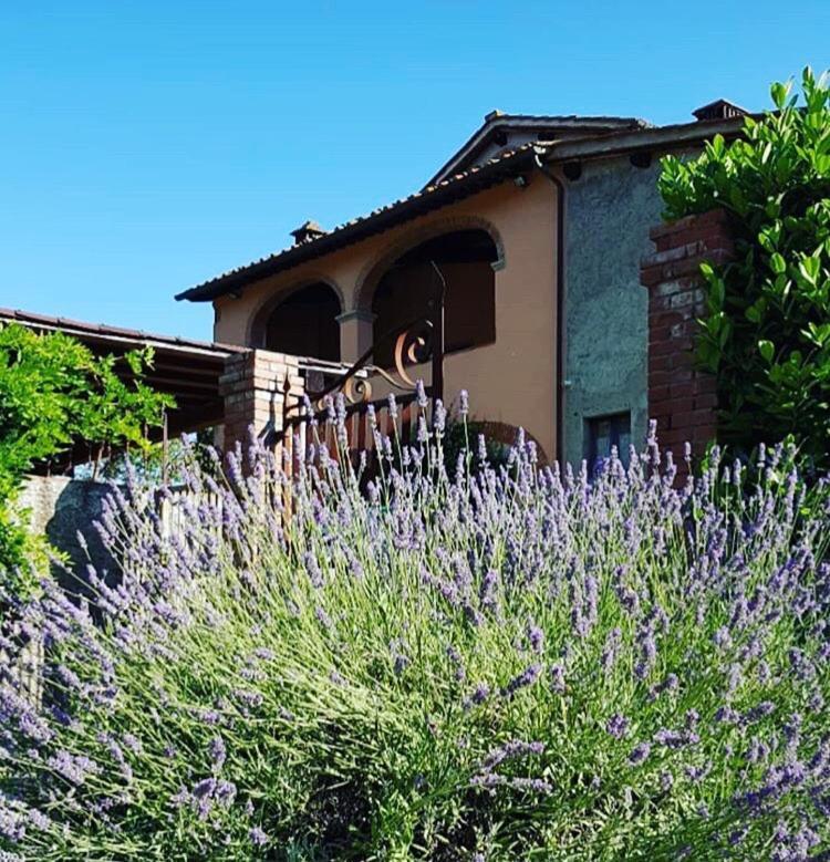 Bed and Breakfast Il Casolare Penna Екстер'єр фото