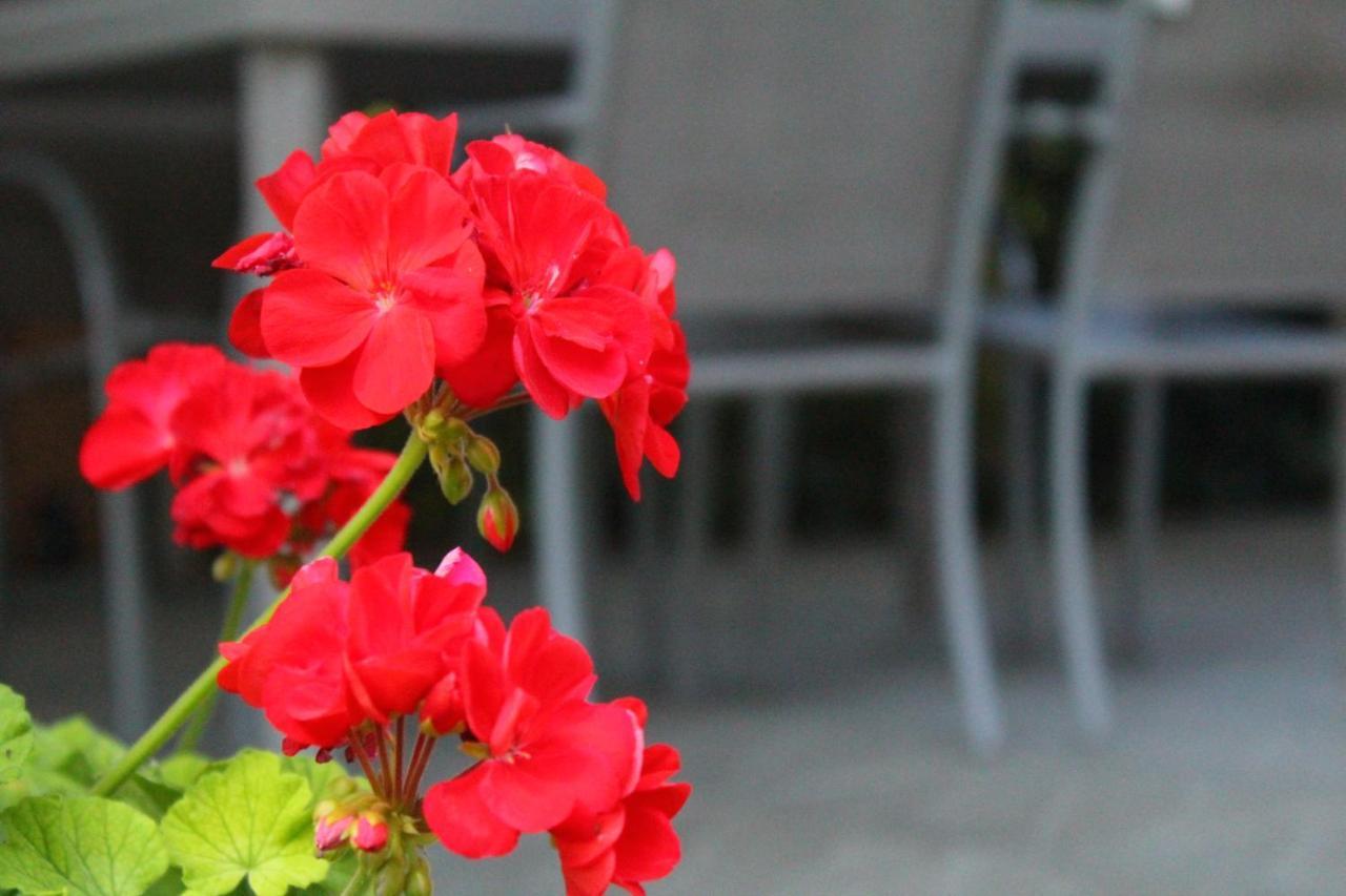 Bed and Breakfast Il Casolare Penna Екстер'єр фото