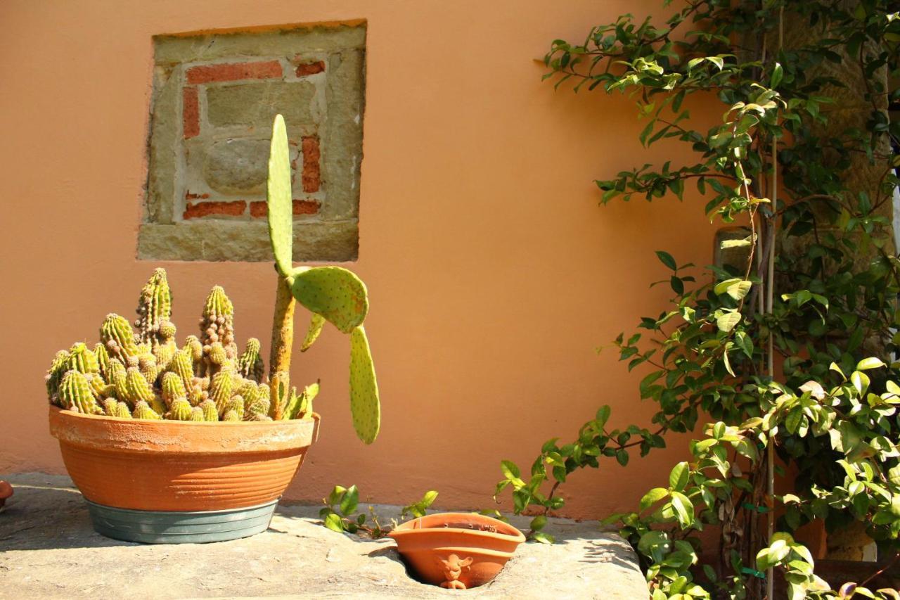 Bed and Breakfast Il Casolare Penna Екстер'єр фото